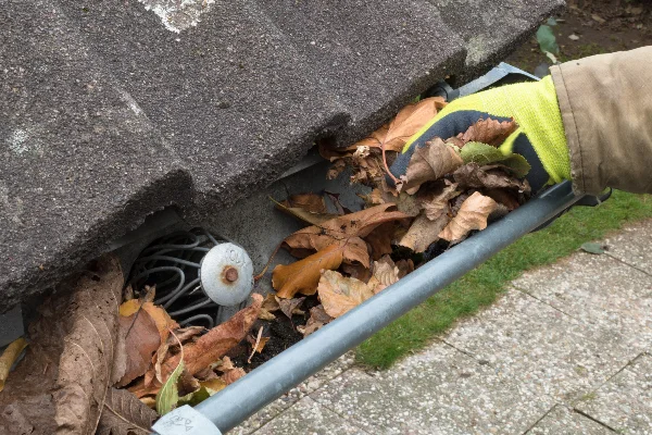 Gutter Cleaning Services